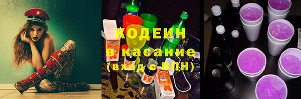 дмт Алзамай