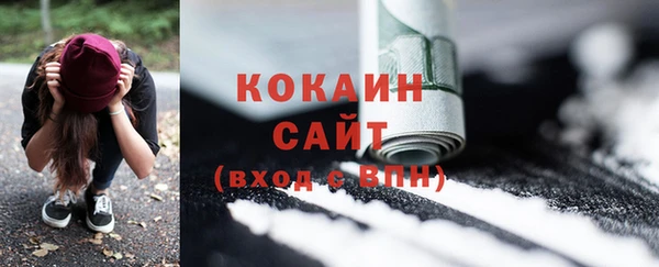 крисы Армянск